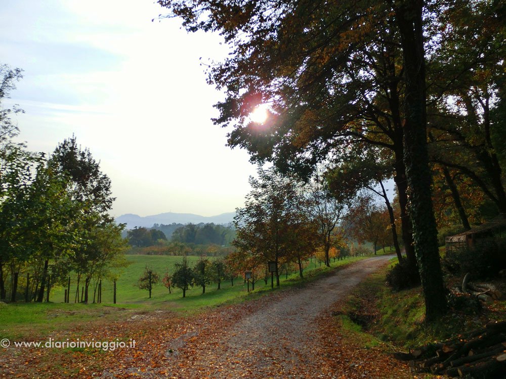 parco san floriano