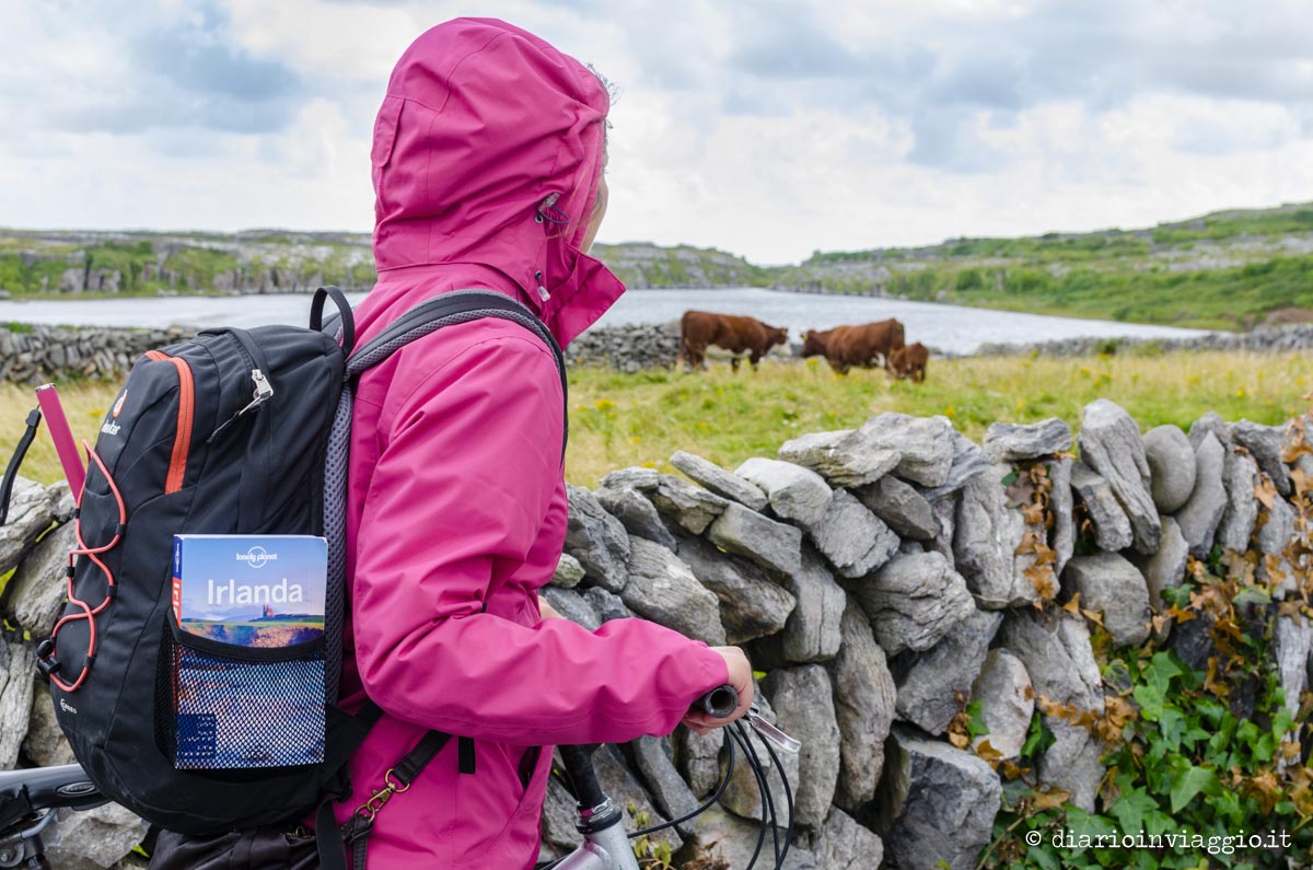 Inisheer Isole Aran