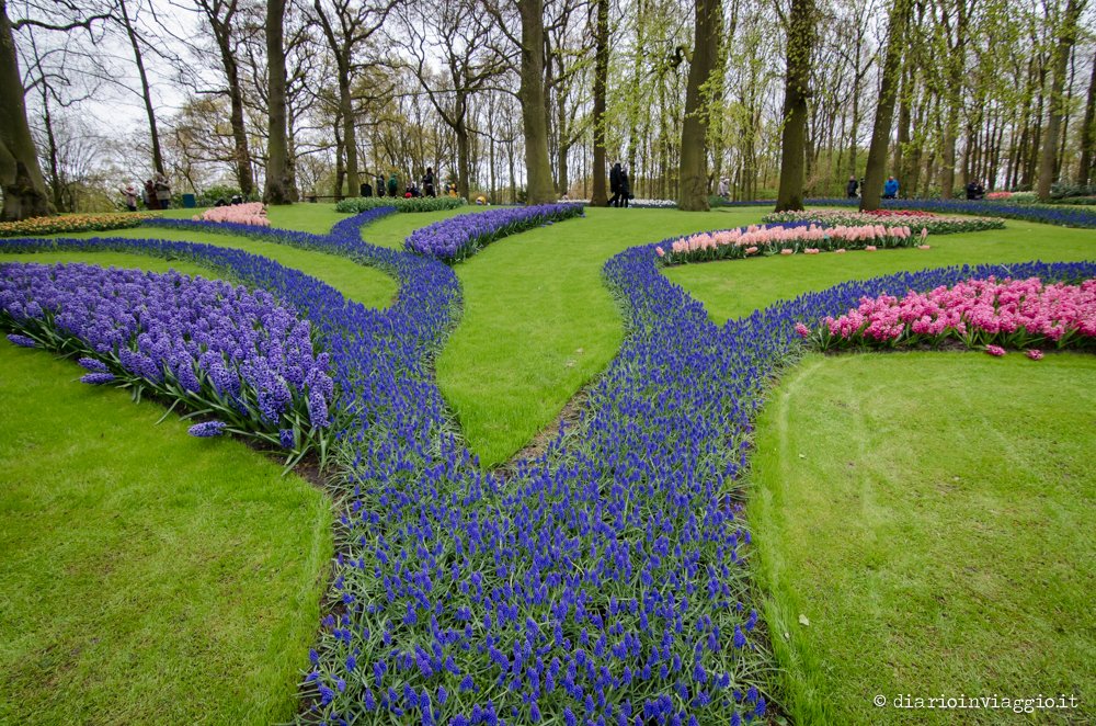 parco Keukenhof Olanda