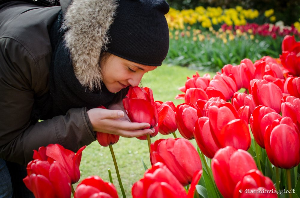 parco Keukenhof Olanda