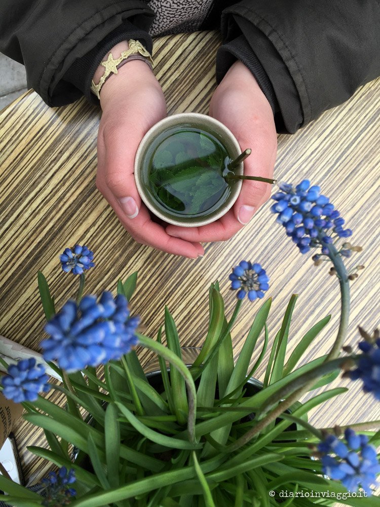 fresh tea mint amsterdam