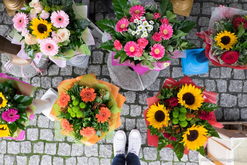 mercato dei fiori breslavia