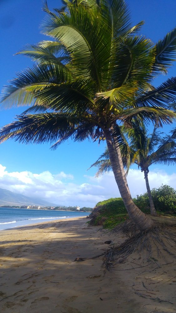 spiaggia Maui Hawaii