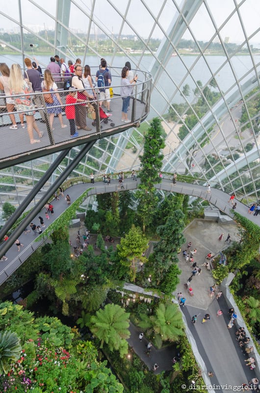 cloud forest gardens by the bay singapore-13