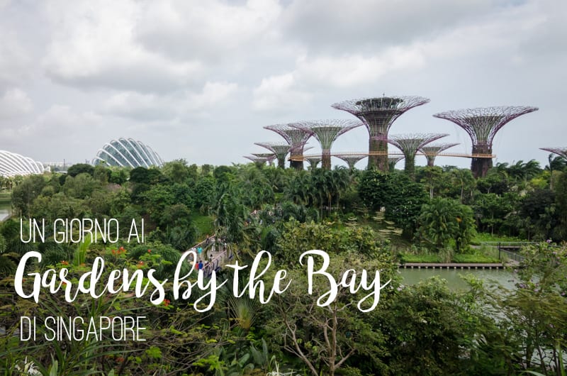 gardens by the bay singapore