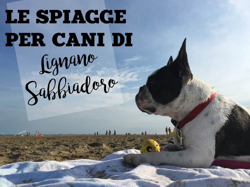 spiagge per cani a lignano Sabbiadoro