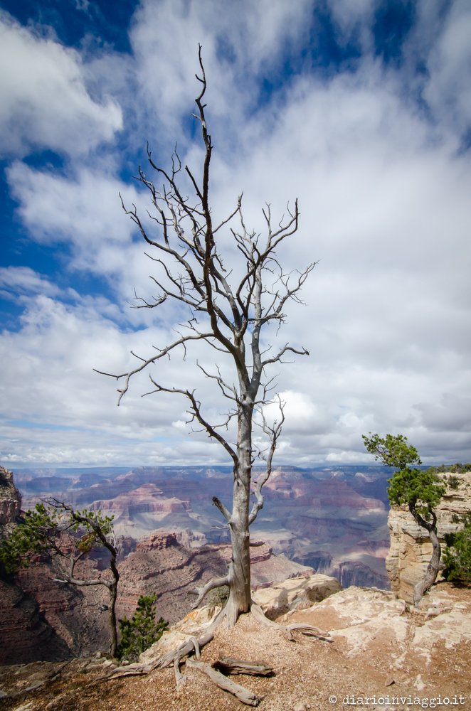 visitare il grand canyon south rim