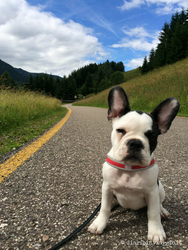 Lola in montagna