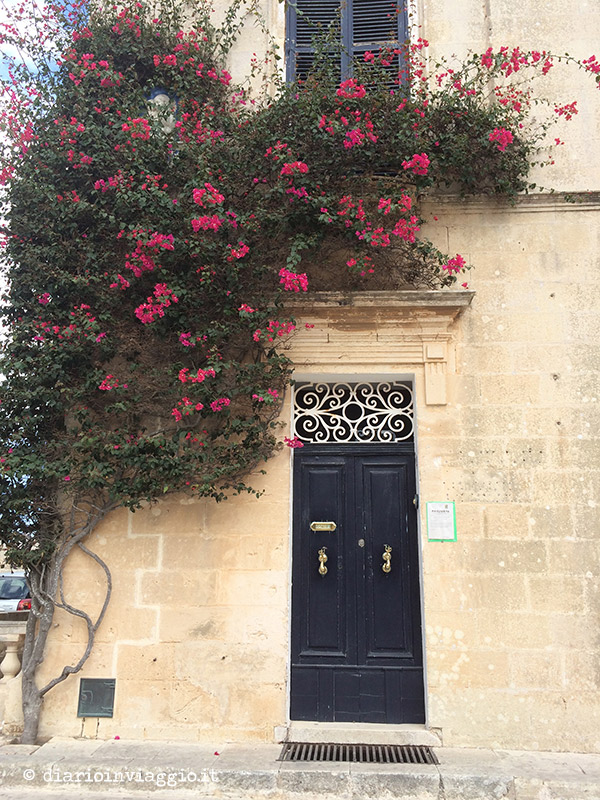 Una bouganville rigogliosa incornicia questa porta a Mdina, Malta
