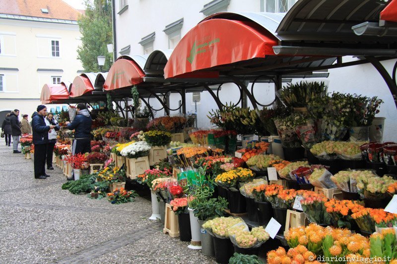mercato lubiana