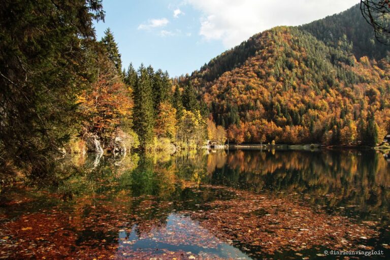 Fotografare fusine in autunno