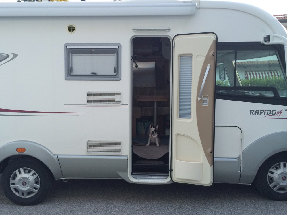cane in camper