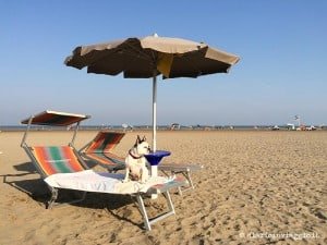lola-bau-beach