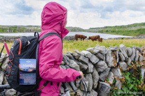 Inisheer, l'isola che mi ha rubato il cuore Inisheer Isole Aran