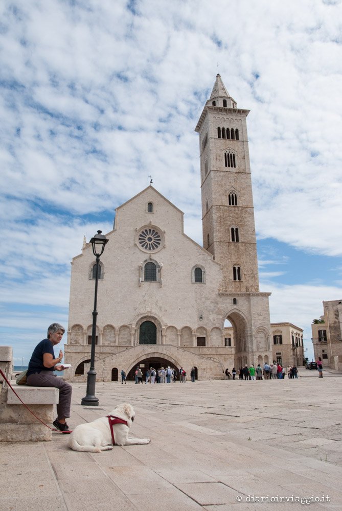puglia in barca a vela trani