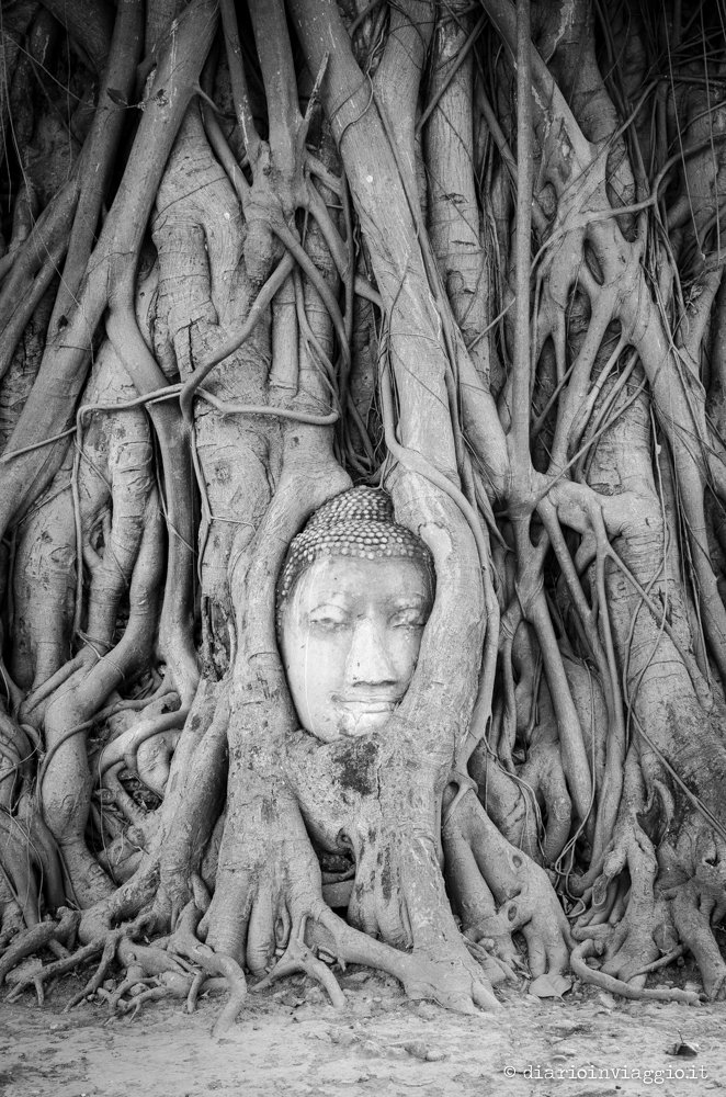 Ayutthaya