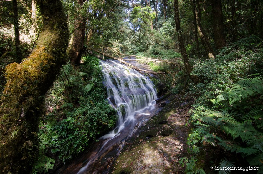 Kaew Mae Pan Nature Trail