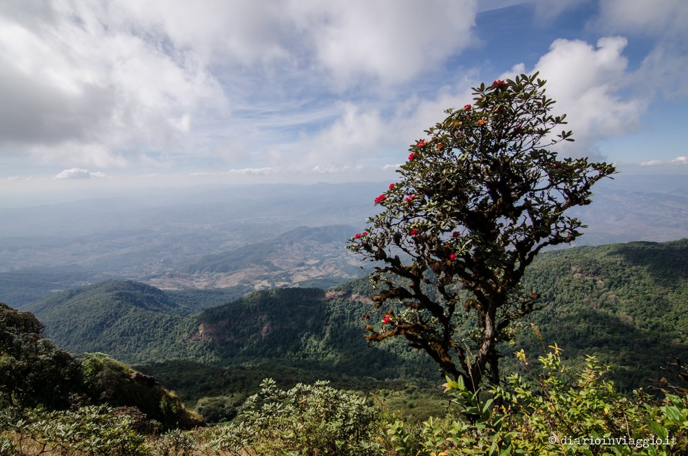 Kaew Mae Pan Nature Trail
