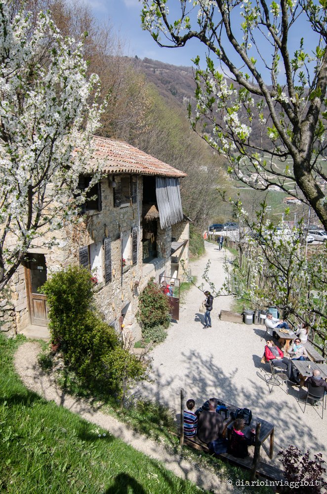 osteria senz'oste