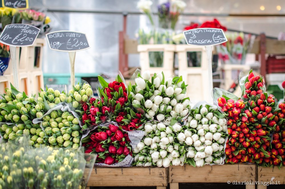 Albert Cuypmarkt Amsterdam