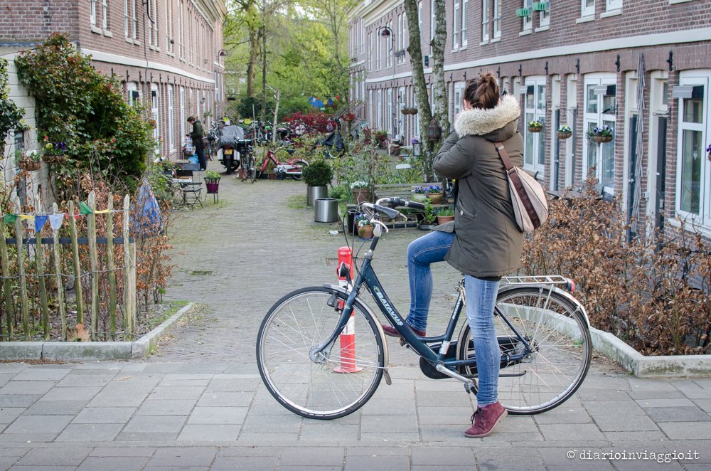 ad Amsterdam in bicicletta