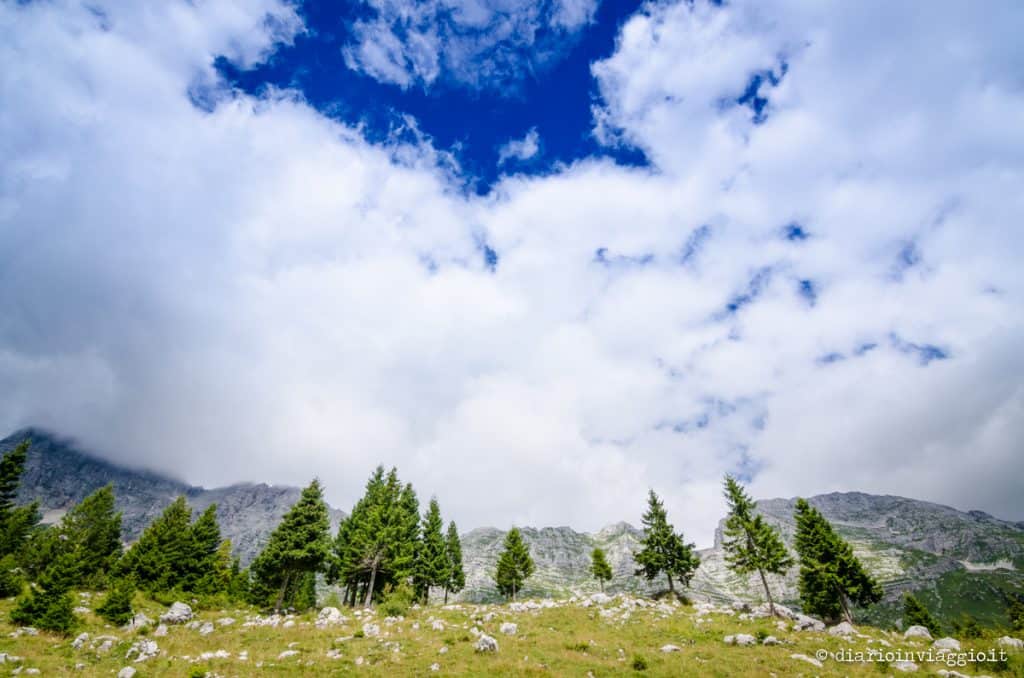 altopiano del montasio