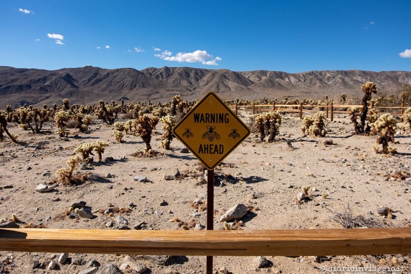 consigli per un viaggio on the road negli usa