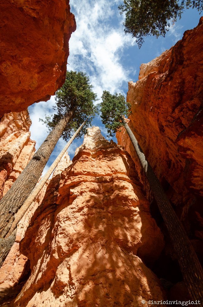 Bryce Canyon - USA