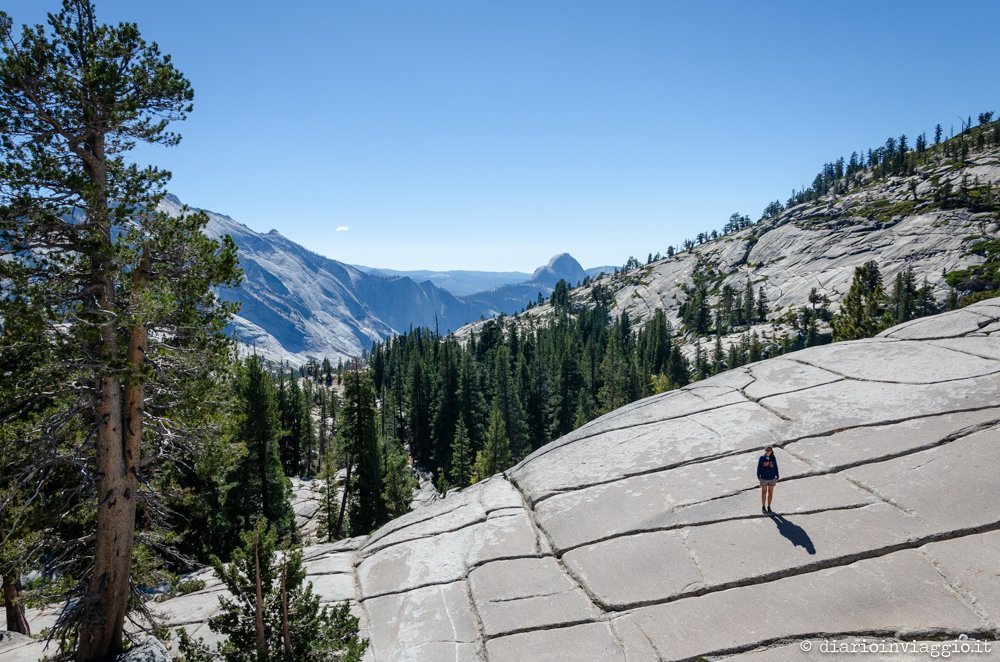 Yosemite National Park - USA