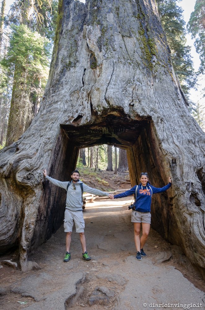 Yosemite National Park - USA
