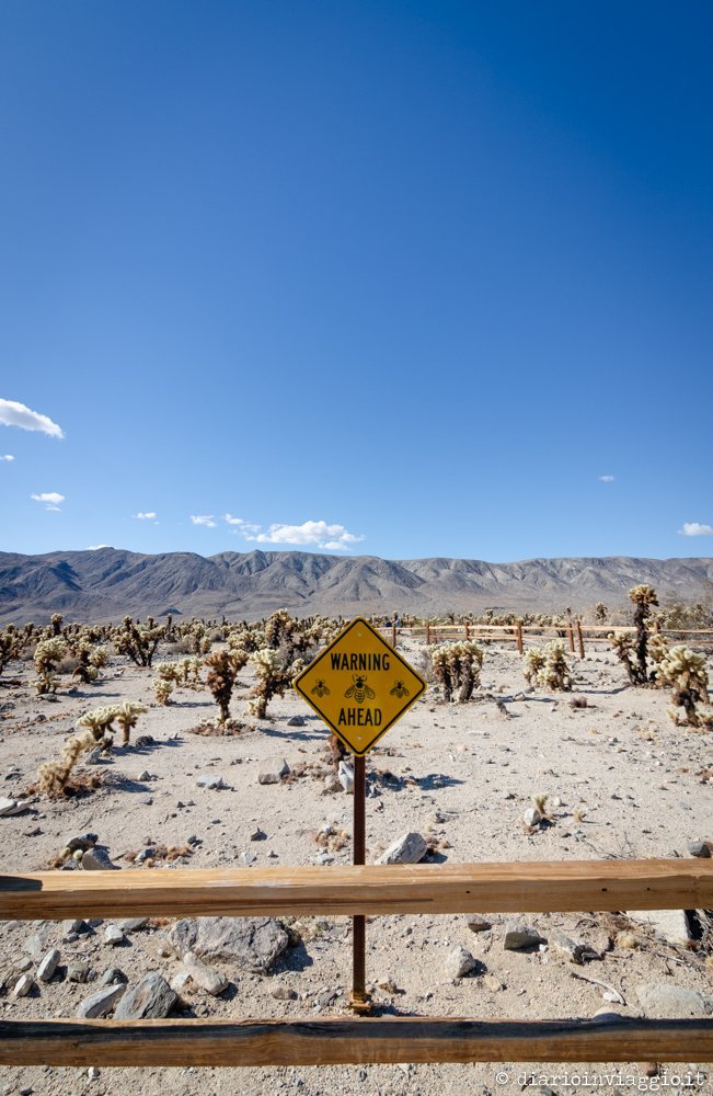 Joshua Tree National Park - USA