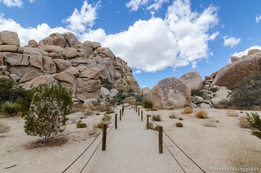 Joshua Tree National Park - USA