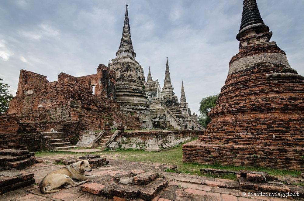 cosa vedere a ayutthaya in un giorno