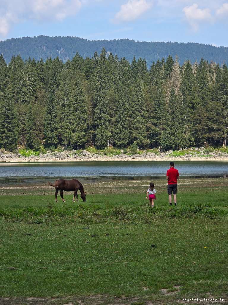 Passeggiata con bambini lungo il sentiero d'ombra del Lago Inferiore di Fusine