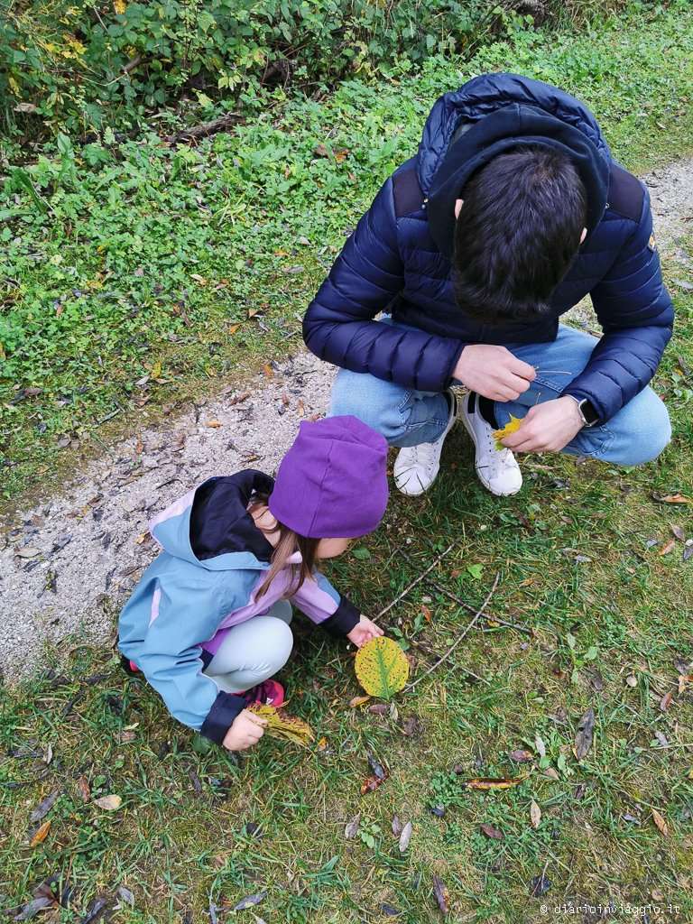 Momenti di gioco seguendo le indicazioni lungo il percorso degli gnomi a Tarvisio