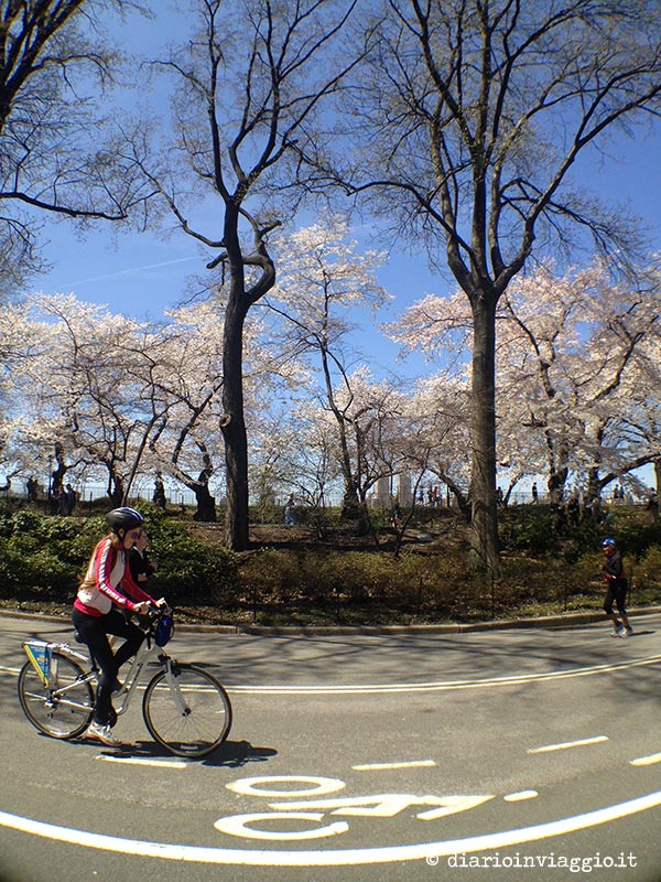 In bici a Central Park, New York