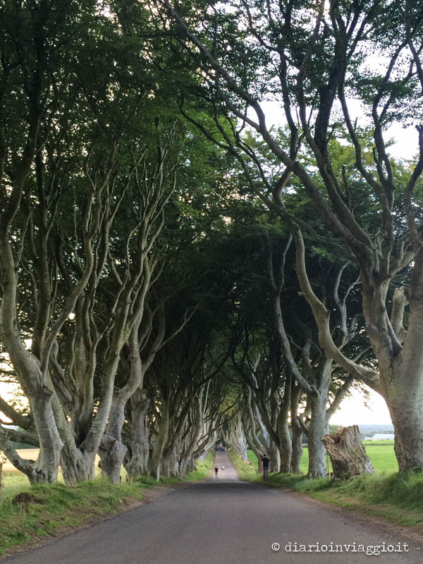 Dark Hedges, Irlanda del Nord