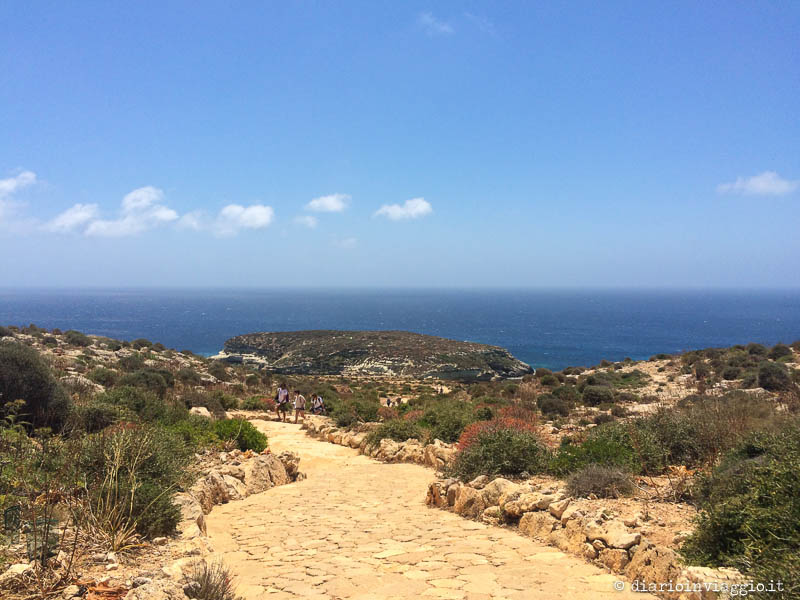 Il sentiero che dalla spiaggia dei Conigli riporta alla strada