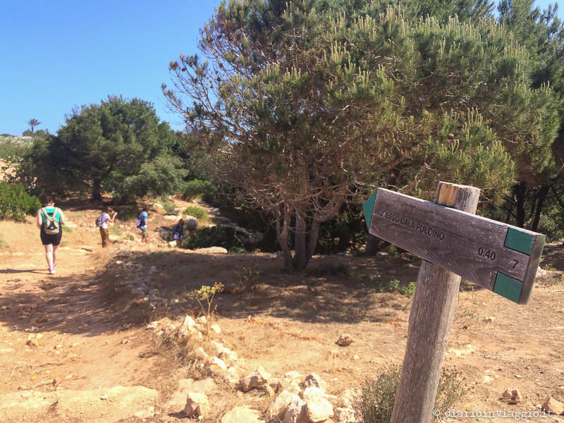 L'ingresso del sentiero per Cala Pulcino