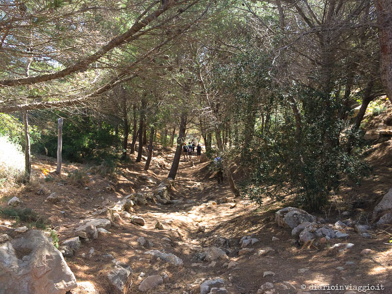 Sentiero per Cala Pulcino